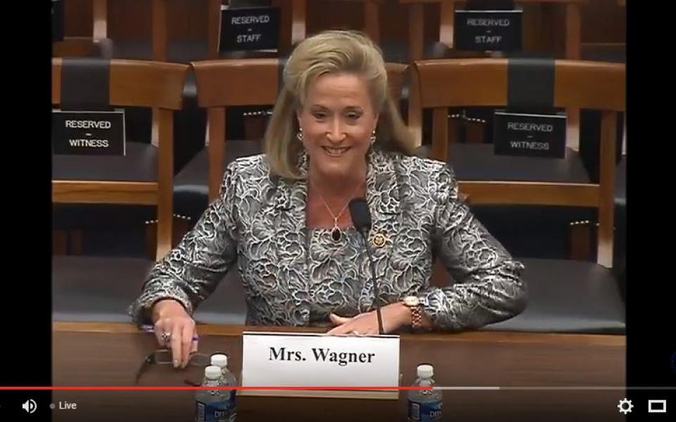 Super Hornets Testimony