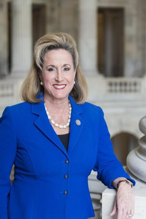 About  Congresswoman Ann Wagner